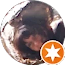David profile picture